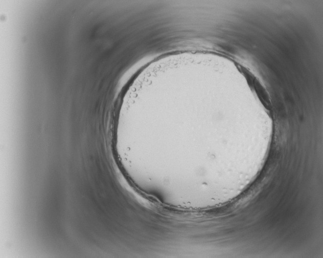 X0000086331387200704271931