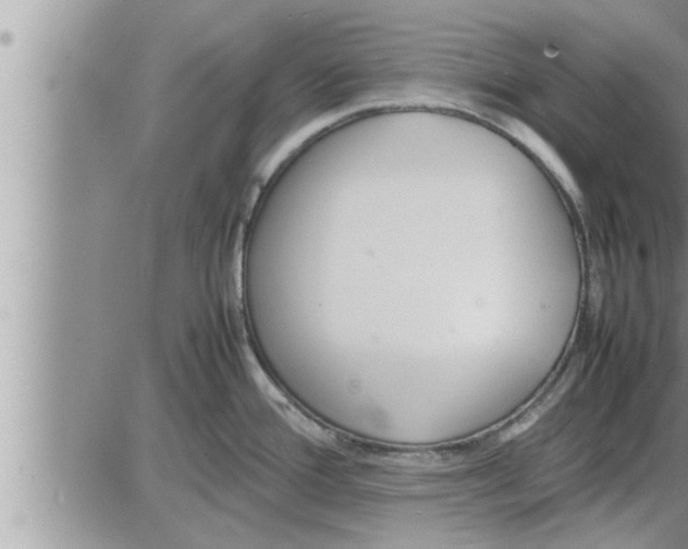 X0000086331388200704271931