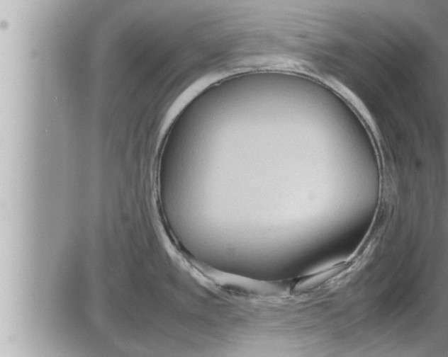 X0000086331389200704271931