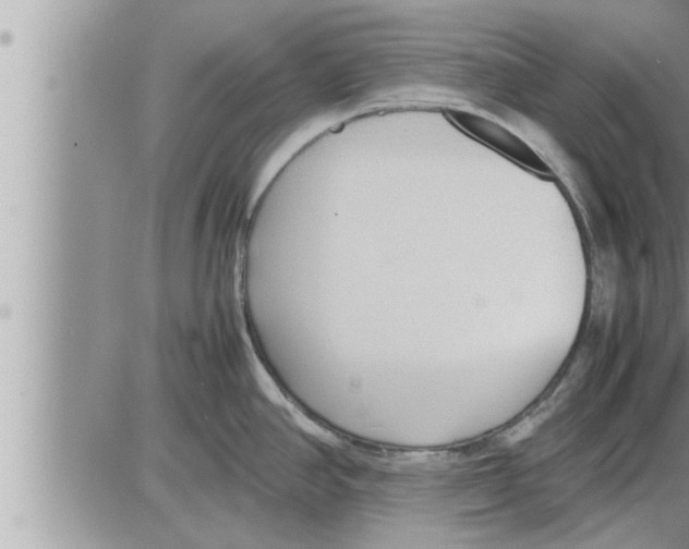 X0000086331390200704271931