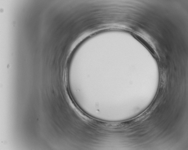 X0000086331391200704271931