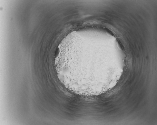 X0000086331393200704271930