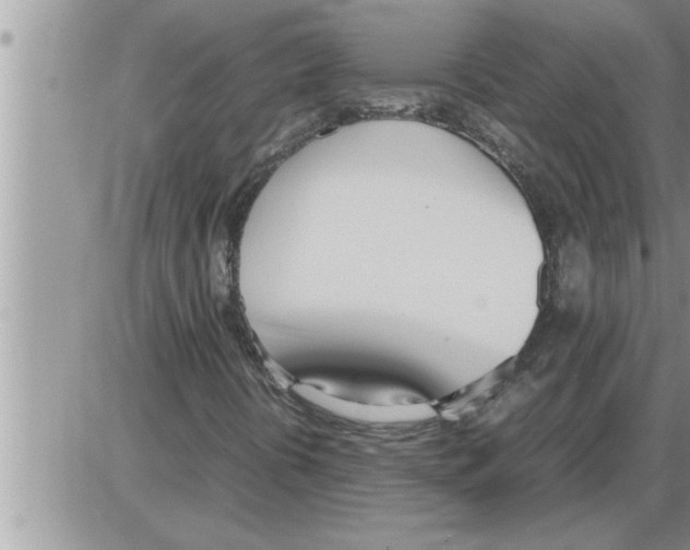 X0000086331394200704271930