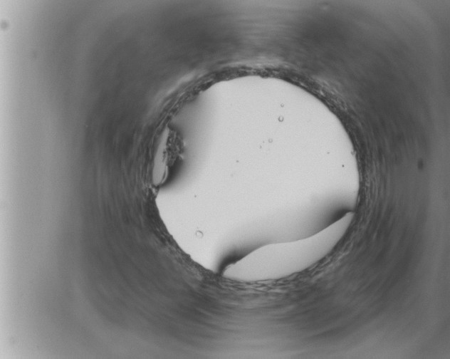 X0000086331398200704271930