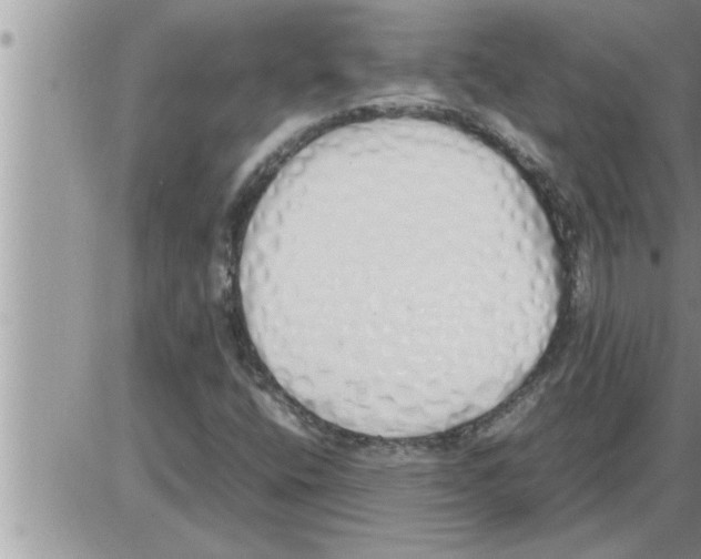 X0000086331400200704271930