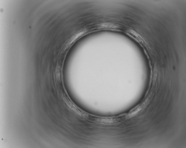 X0000086331401200704271930