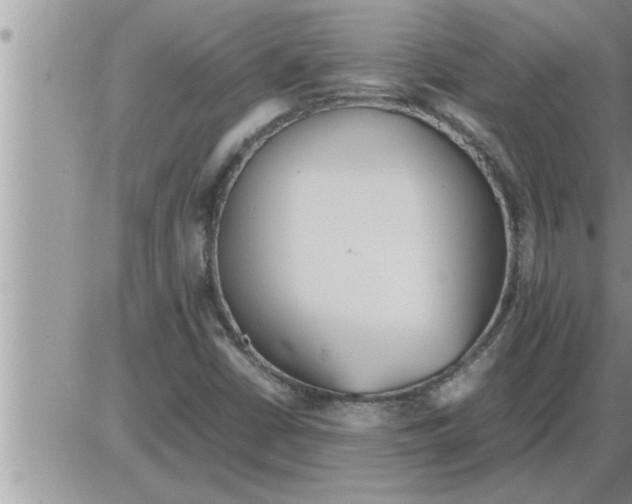 X0000086331402200704271930