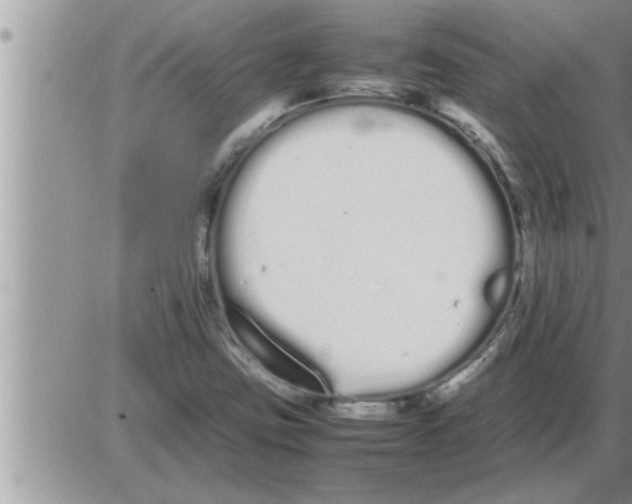 X0000086331403200704271930