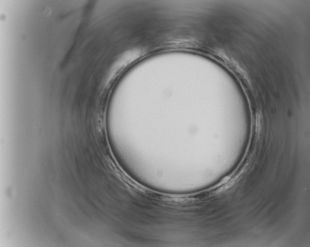 X0000086331405200704271930