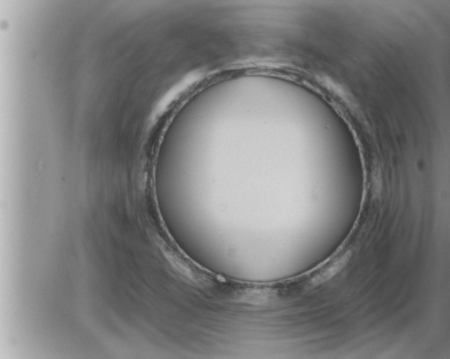 X0000086331406200704271931