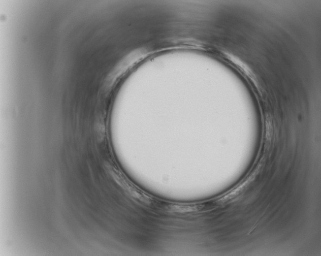 X0000086331407200704271931