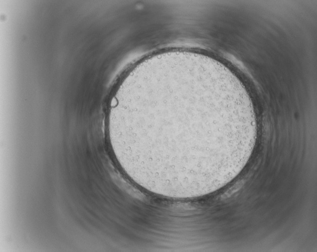 X0000086331408200704271931