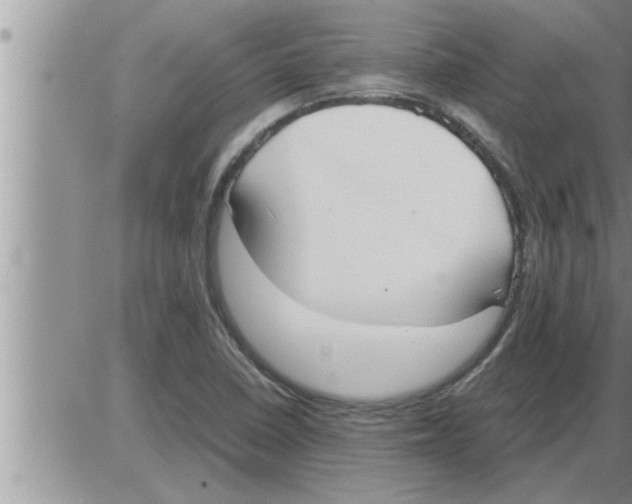 X0000086331410200704271931