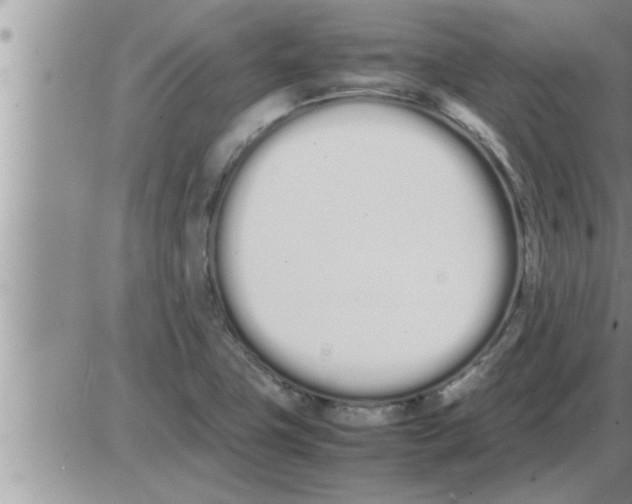 X0000086331411200704271931