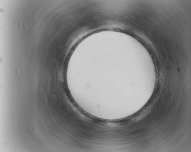 X0000086331412200704271931