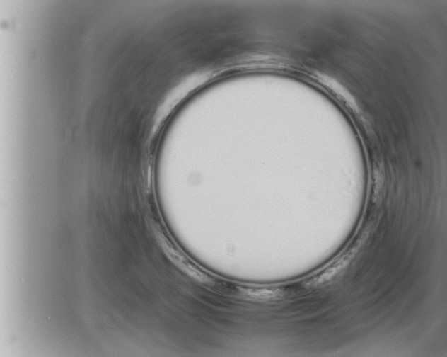 X0000086331413200704271931