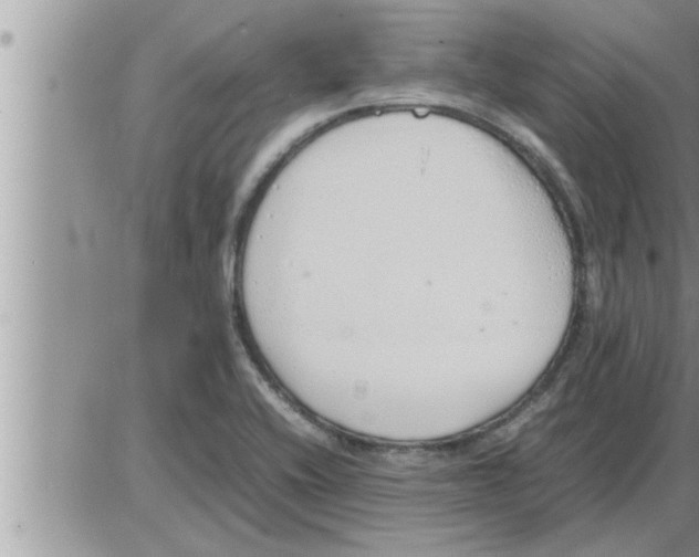 X0000086331416200704271931