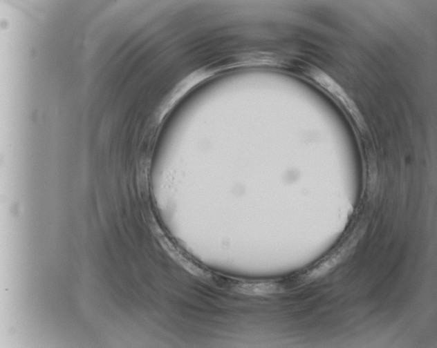 X0000086331417200704271931