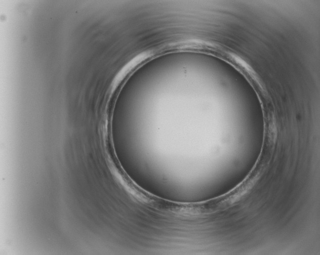 X0000086331418200704271931