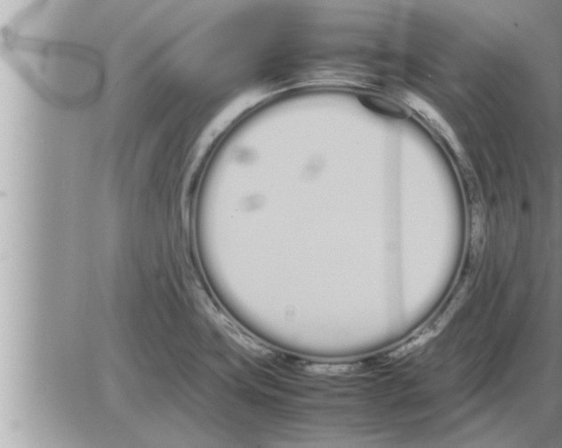 X0000086331419200704271931