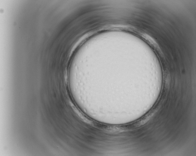 X0000086331420200704271931