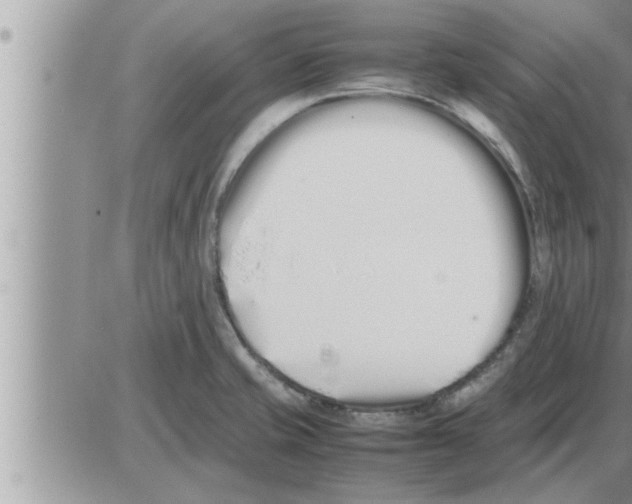 X0000086331421200704271931