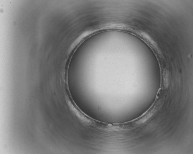 X0000086331422200704271931