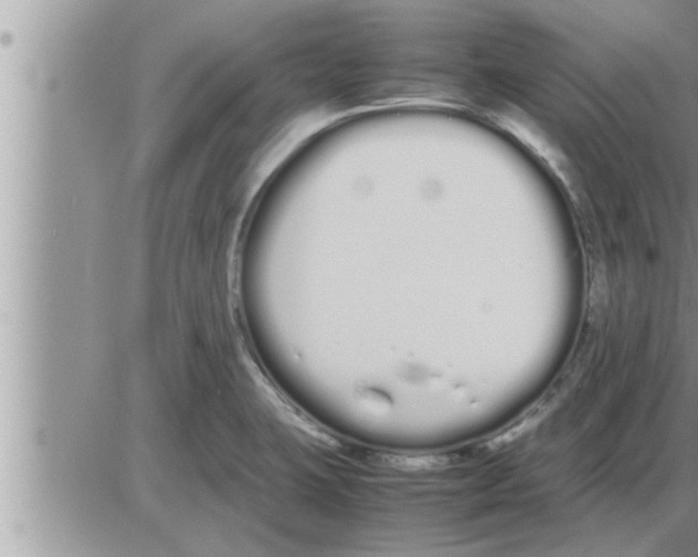 X0000086331423200704271931