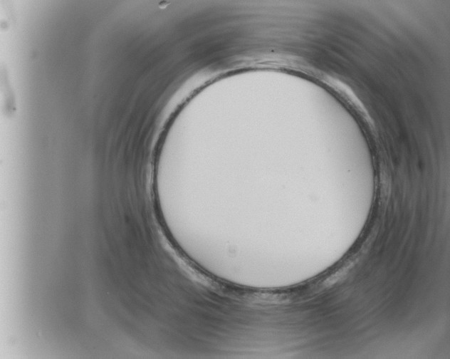 X0000086331424200704271931