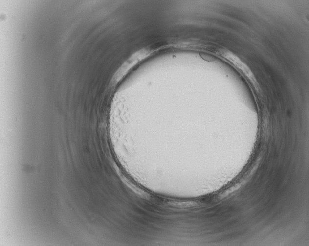 X0000086331425200704271931