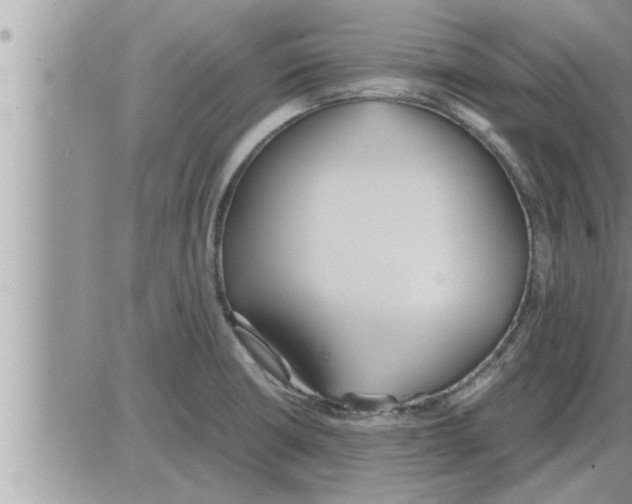 X0000086331426200704271931