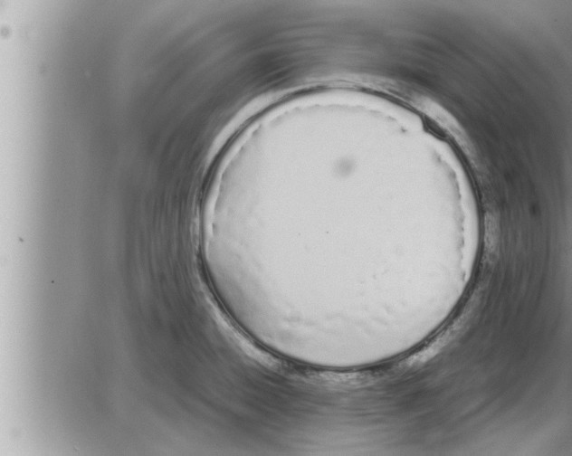 X0000086331428200704271931