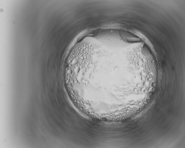 X0000086331429200704271931