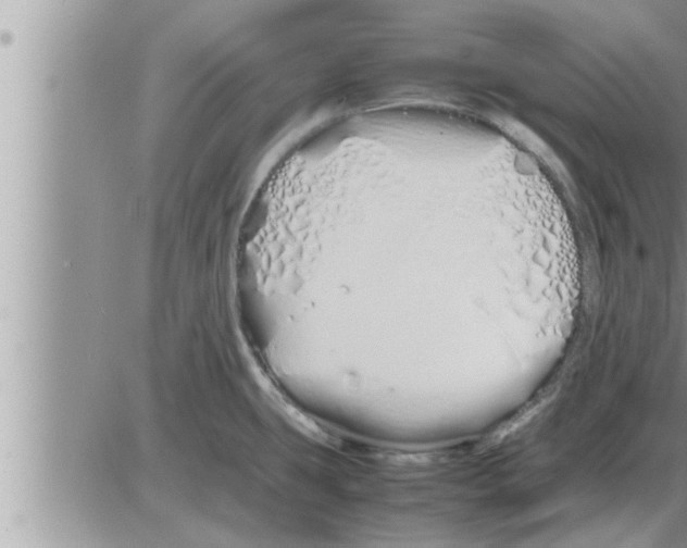 X0000086331431200704271931