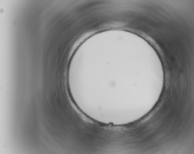 X0000086331432200704271931