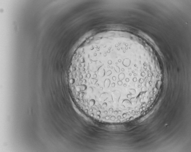 X0000086331433200704271931