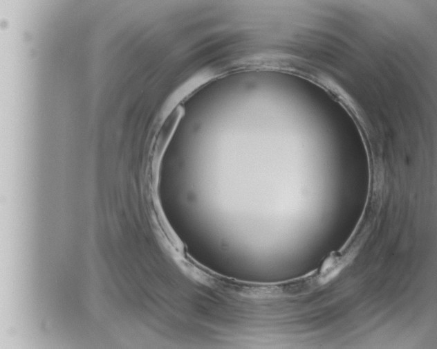 X0000086331434200704271931