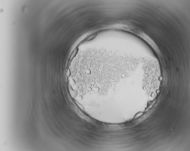 X0000086331436200704271931