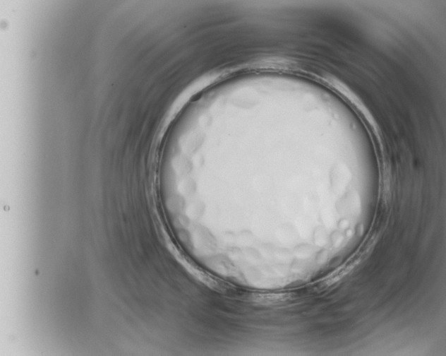 X0000086331437200704271931