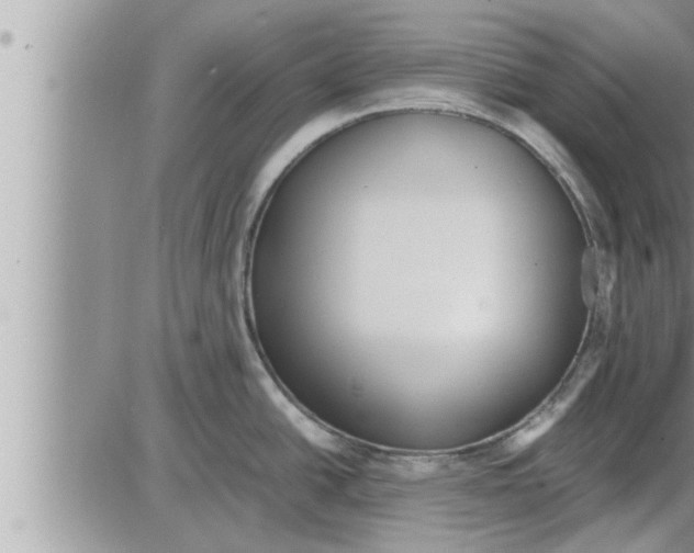 X0000086331438200704271931