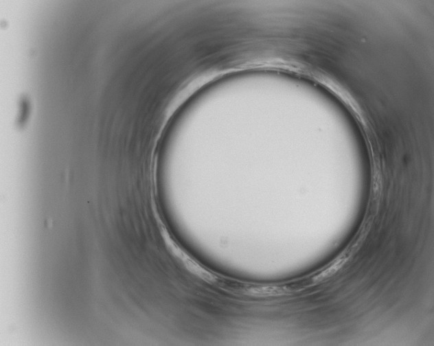 X0000086331439200704271931