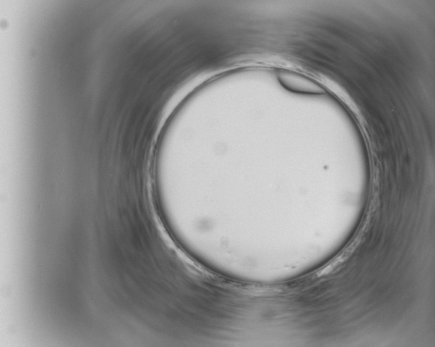 X0000086331440200704271931