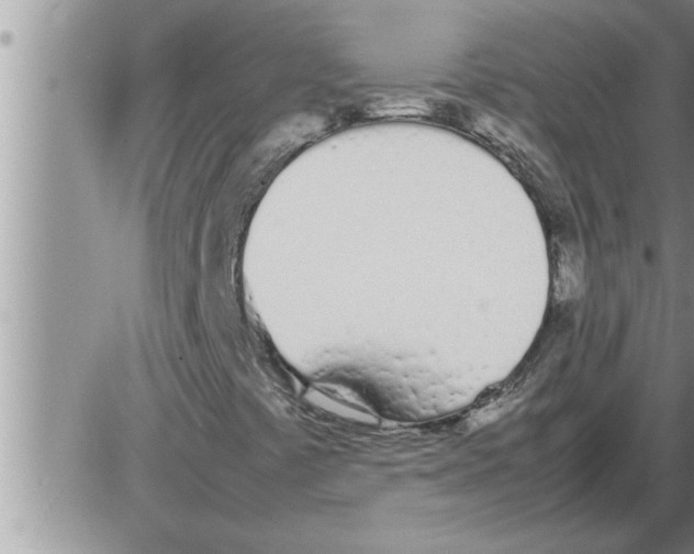 X0000086331441200704271930