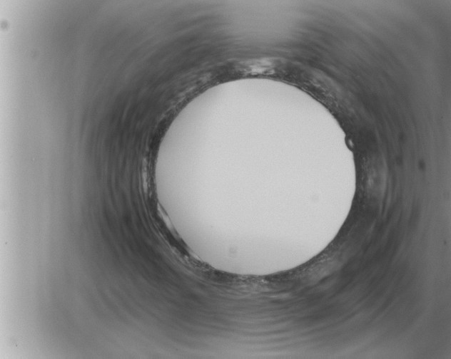 X0000086331442200704271930