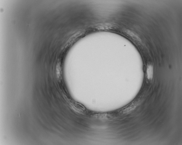 X0000086331444200704271930