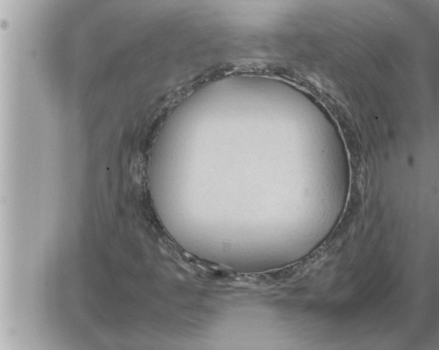 X0000086331445200704271930