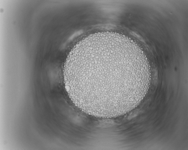 X0000086331446200704271930