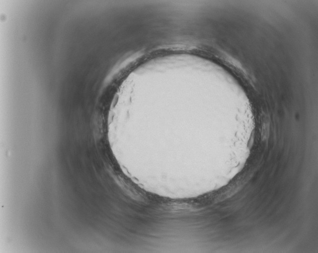 X0000086331448200704271930