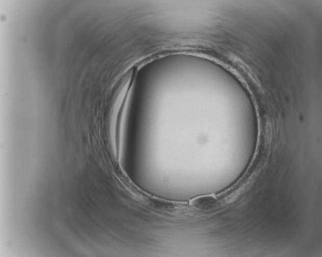 X0000086331449200704271930