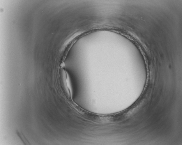 X0000086331453200704271930